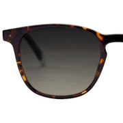 Barner Brown Dalston Glossy Sunglasses