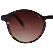 Barner Brown Le Marais Glossy Sunglasses