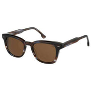 Botaniq Brown Classic Distinct Shape Sunglasses