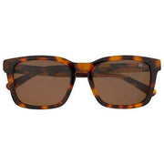 Botaniq Brown Square Sunglasses