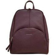 David Jones Burgundy Backpack