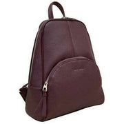 David Jones Burgundy Backpack