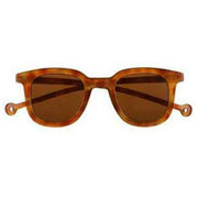 Parafina Brown Cauce Sunglasses